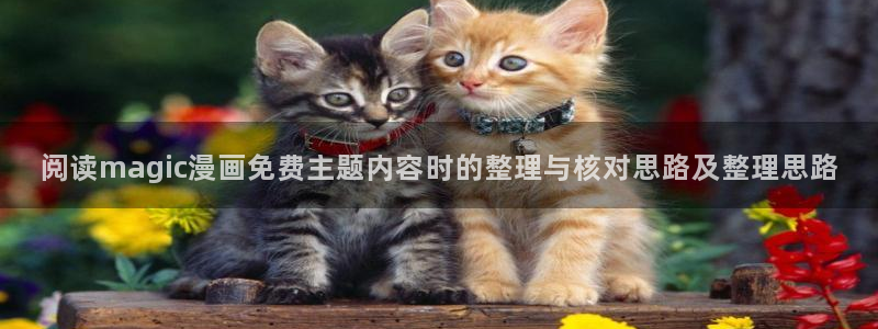 七七漫画作品推荐:阅读magic漫画免费主题内容时的整理与核对思路及整理思路