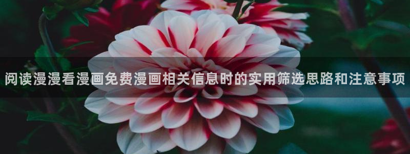 七七漫画最新网站入口:阅读漫漫看漫画免费漫画相关信息时的实用筛选思路和注意事项